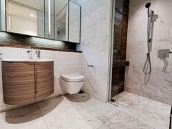Duo Residences (D7), Apartment #584896491